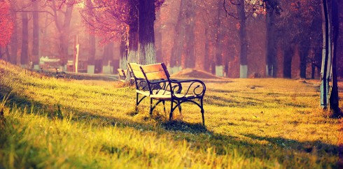 CC在线压力测试